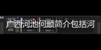 廣西河池何順簡介包括河池何順生日的詳細(xì)情況