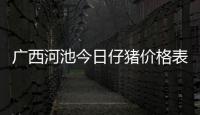 廣西河池今日仔豬價(jià)格表和廣西河池豬肉仔的情況說(shuō)明