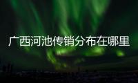 廣西河池傳銷分布在哪里?