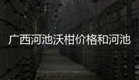 廣西河池沃柑價格和河池高產柑橘酒供應地的詳細介紹
