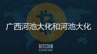廣西河池大化和河池大化的酒量的詳細介紹