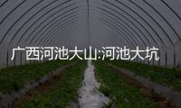 廣西河池大山:河池大坑