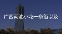 廣西河池小吃一條街以及南寧河池鄉味的情況分析