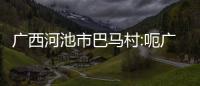 廣西河池市巴馬村:呃廣西巴馬河池
