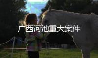廣西河池重大案件