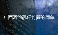 廣西河池靚仔竹筍的簡單介紹