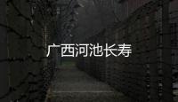 廣西河池長(zhǎng)壽