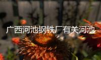 廣西河池鋼鐵廠有關河池鐵皮防腐公司推薦一下的詳細內容