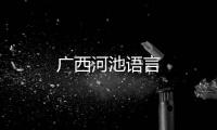 廣西河池語言