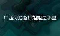 廣西河池貂蟬姐姐是哪里人，關(guān)于廣西河池貂蟬姐姐詳細(xì)情況