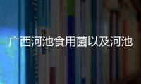 廣西河池食用菌以及河池菌業的情況分析