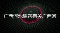 廣西河池黑幫有關廣西河池黑油的詳細內容