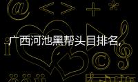 廣西河池黑幫頭目排名,河池黑幫老大排行榜首
