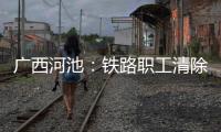 廣西河池：鐵路職工清除“空中炸彈”確保春運線路安全