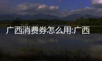 廣西消費(fèi)券怎么用:廣西刷消費(fèi)券