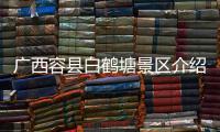 廣西容縣白鶴塘景區介紹