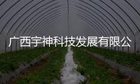 廣西宇神科技發展有限公司以及廣西宇哥的情況分析