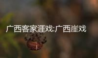 廣西客家涯戲:廣西崖戲