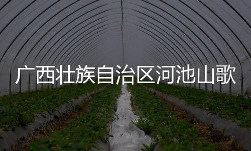 廣西壯族自治區河池山歌比賽