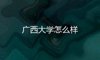 廣西大學怎么樣