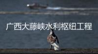 廣西大藤峽水利樞紐工程2023年魚類增殖放流活動舉行