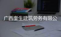 廣西奎生建筑勞務有限公司以及廣西奎源建設的情況分析