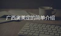 廣西奧美定的簡(jiǎn)單介紹
