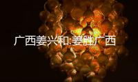 廣西姜興和:姜勝廣西