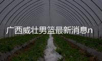 廣西威壯男籃最新消息nbl排名