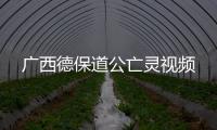 廣西德保道公亡靈視頻
