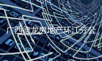 廣西德龍房地產環江分公司