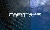 廣西崖柏主要分布