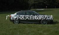 廣西小區(qū)滅白蟻的方法