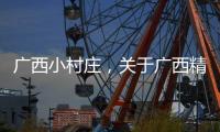 廣西小村莊，關于廣西精品村詳細情況