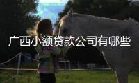 廣西小額貸款公司有哪些:廣西小額貸款公司