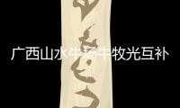 廣西山水牛場(chǎng)牛牧光互補(bǔ)項(xiàng)目