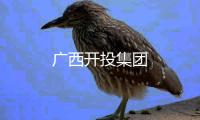 廣西開投集團