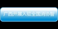 廣西開(kāi)展入駐全國(guó)消協(xié)智慧315平臺(tái)經(jīng)營(yíng)者培訓(xùn)