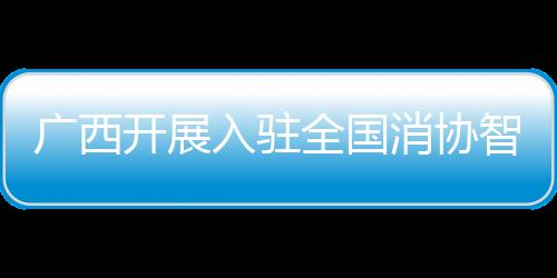 廣西開展入駐全國消協智慧315平臺經營者培訓