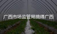 廣西市場監管局摘得廣西2020年度優秀改革案例評選第一名