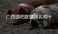 廣西酒吧聯(lián)盟排名前十