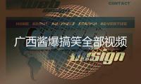 廣西醬爆搞笑全部視頻