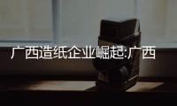 廣西造紙企業(yè)崛起:廣西造紙企業(yè)