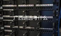 廣西遴選考什么