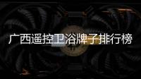 廣西遙控衛浴牌子排行榜與廣西遙控衛浴牌子的原因