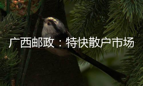廣西郵政：特快散戶市場實(shí)現(xiàn)新突破
