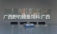 廣西野釣鯉魚餌料:廣西鯉魚怎么釣