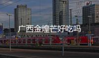 廣西金煌芒好吃嗎