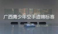 廣西青少年空手道錦標賽我市代表隊獲2金2銅