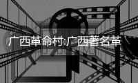 廣西革命村:廣西著名革命山莊